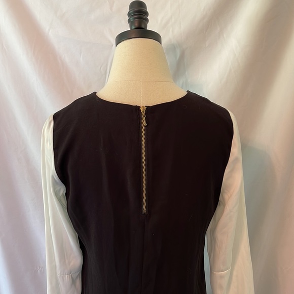 Black and White Swing Dress - Picture 4 of 7